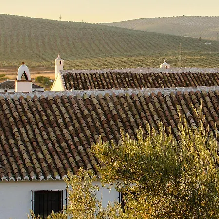 Cortijo Alzamigaja Villa Archidona Exterior photo