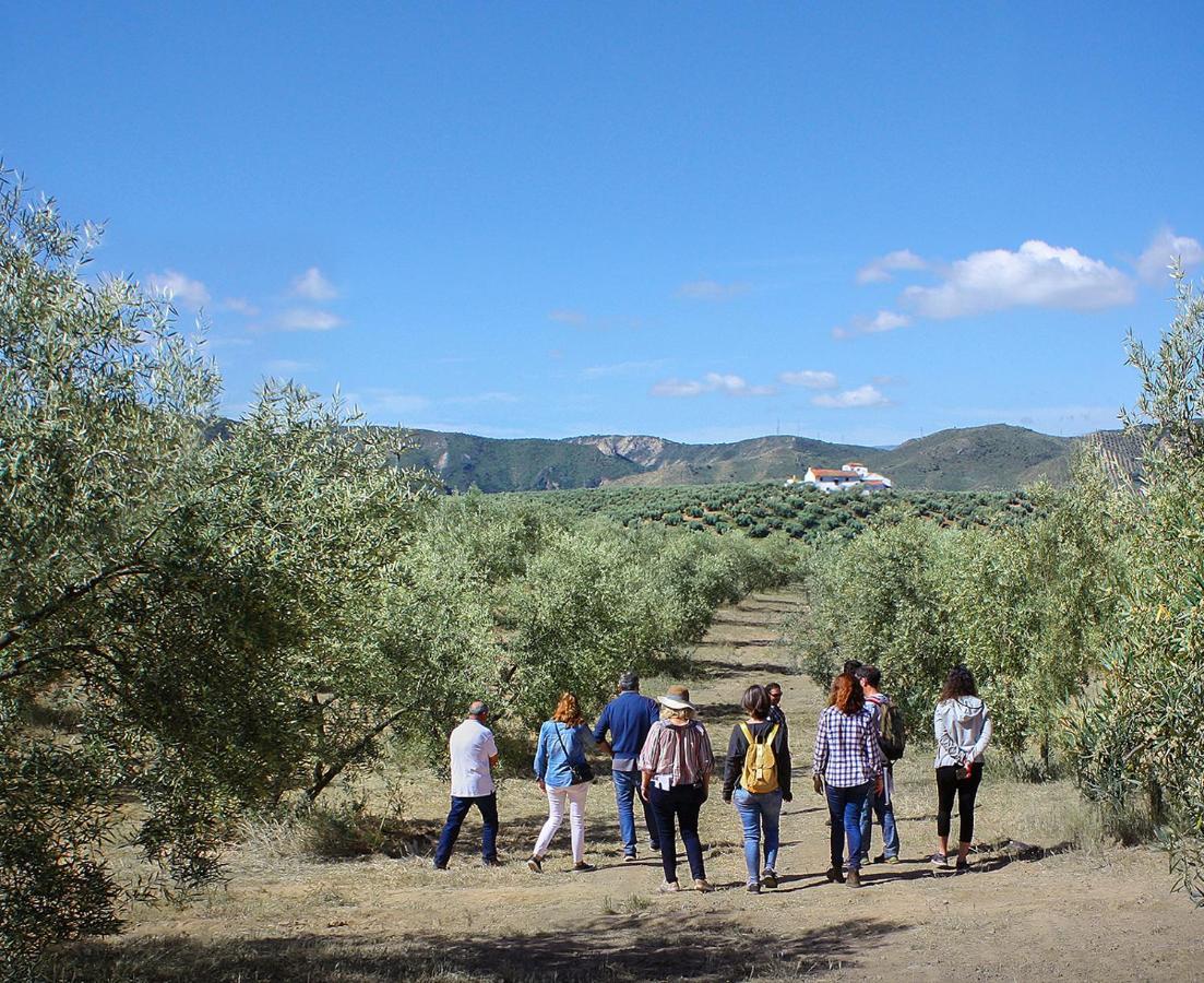 Cortijo Alzamigaja Holiday home Archidona