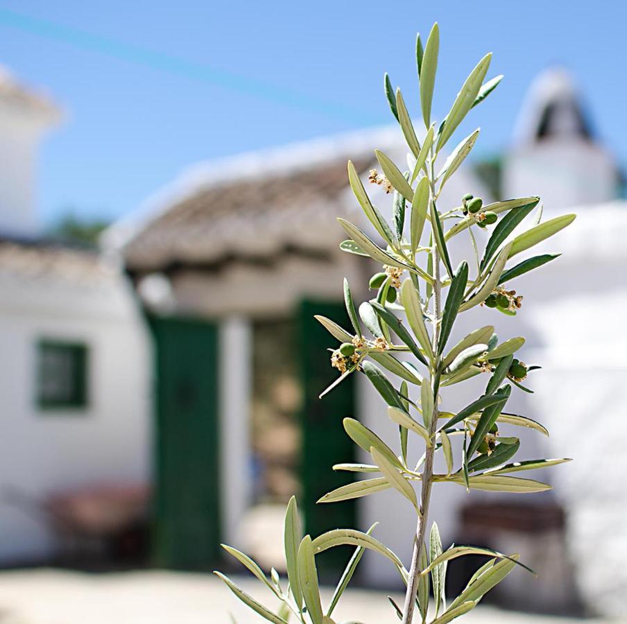 Holiday home Cortijo Alzamigaja Archidona