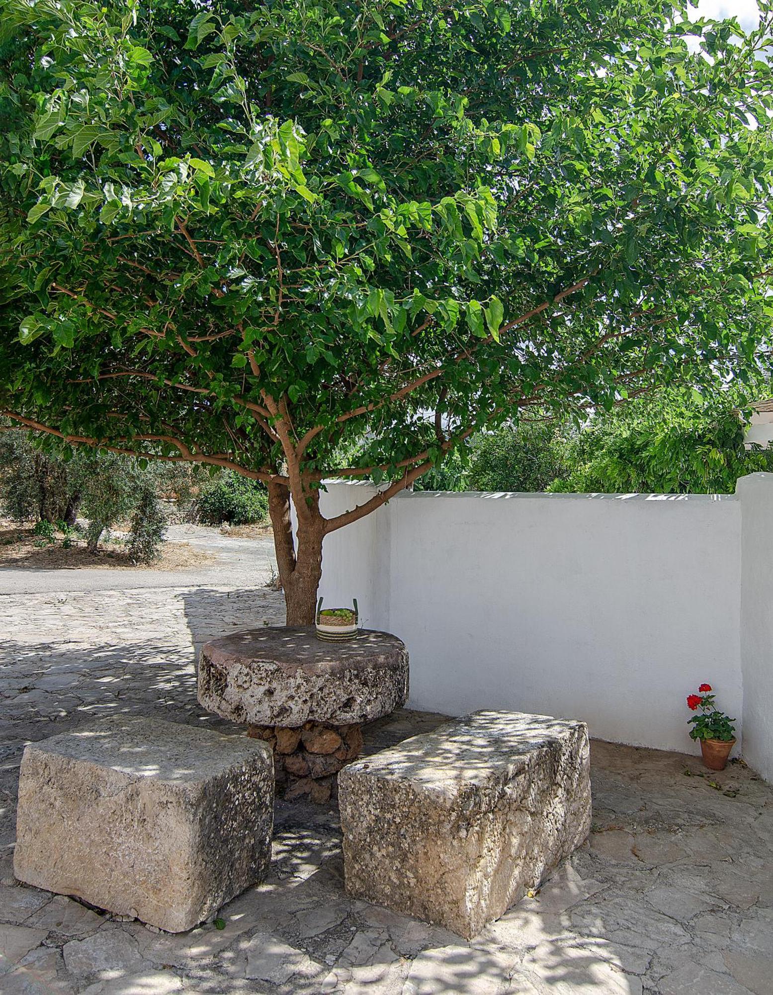 Cortijo Alzamigaja Archidona